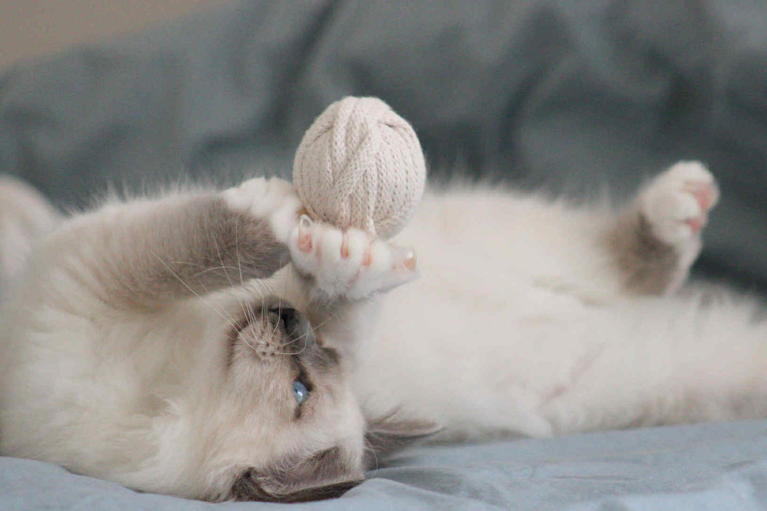 Jouets
