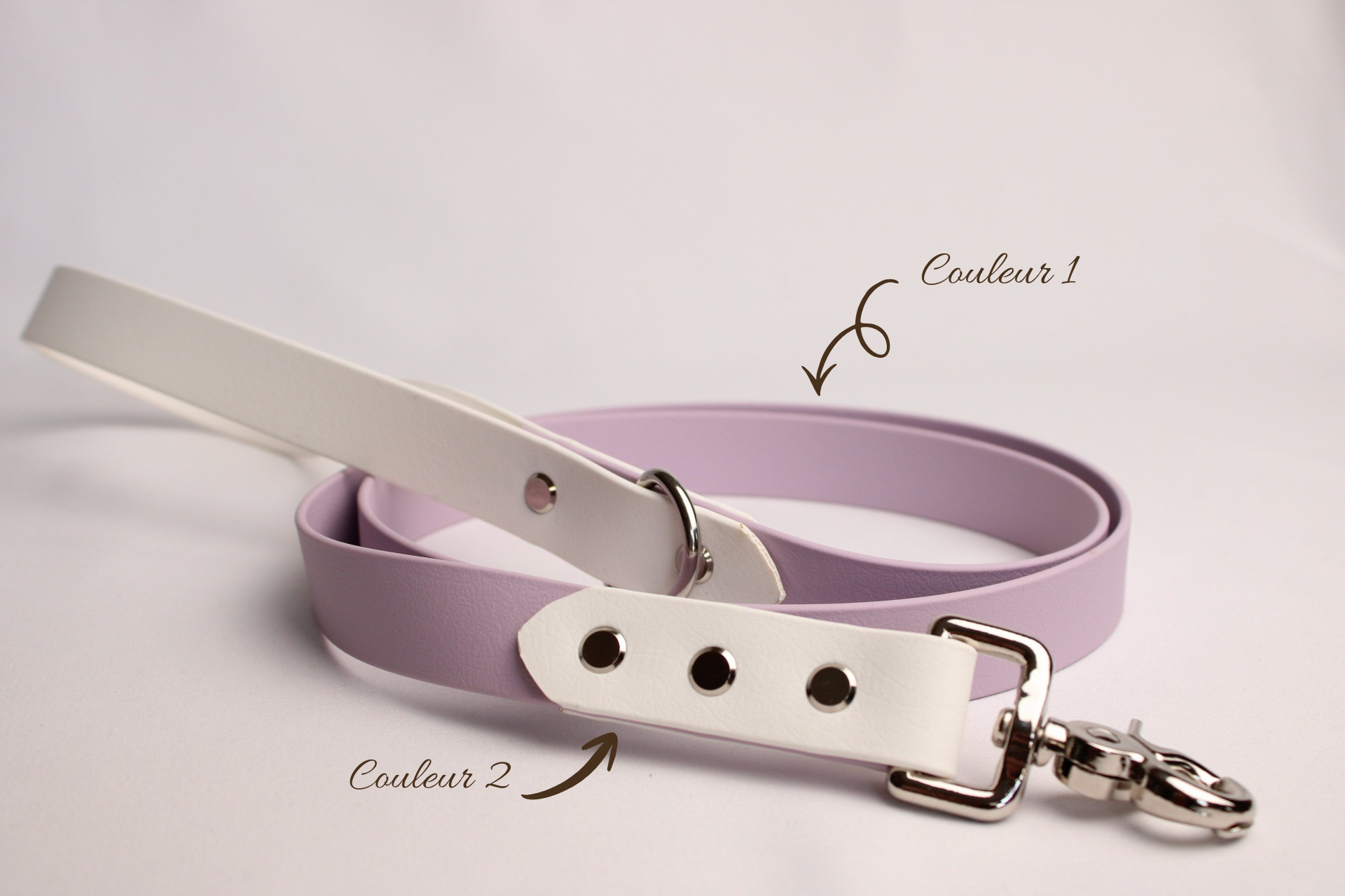 Laisse Biothane® bicolore