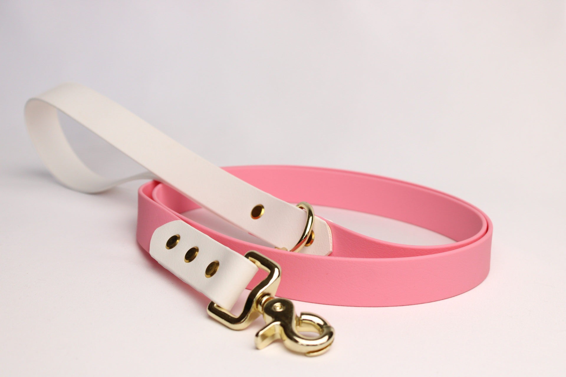 Laisse Biothane® bicolore