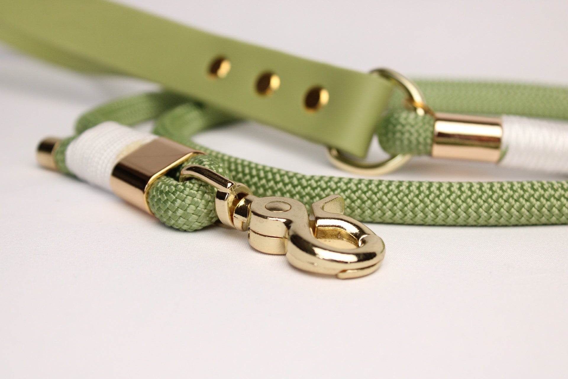 Laisse mi-corde mi-Biothane®